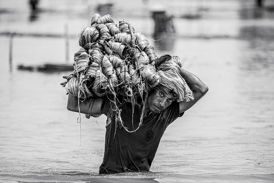 Jute Worker Photograph By Rakibul Alam Khan Pixels