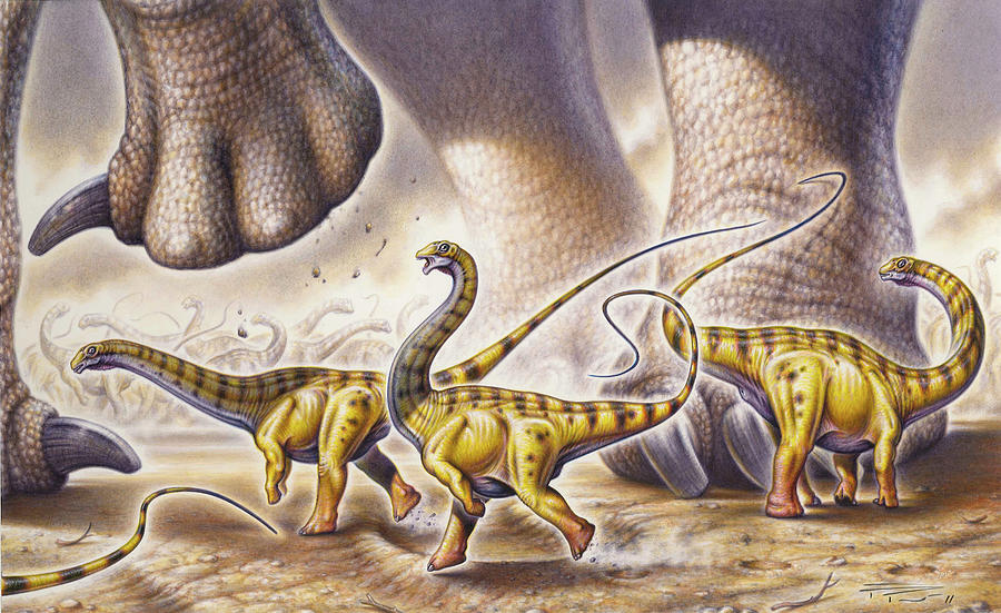 Wildlife Painting - Juvenile Apatosaurus Ajax Dinosaurs by Fabio Pastori