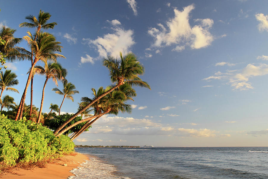 Kaanapali Beach Photograph by Pierre Leclerc Photography