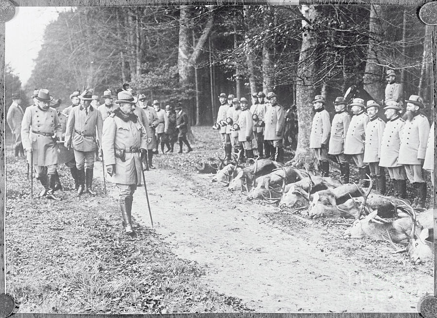 Kaiser Wilhelm Of Germany Inspecting Photograph by Bettmann