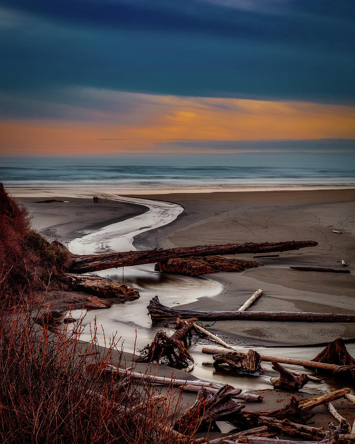 Kalaloch Beach 93 Photograph by Mike Penney - Fine Art America