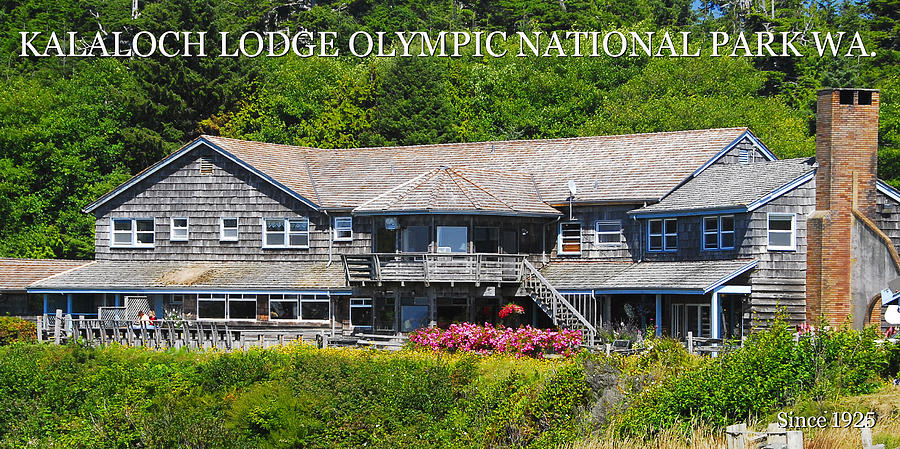 Kalaloch Lodge poster A Photograph by David Lee Thompson
