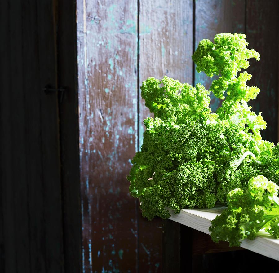 Kale Against A Rustic Wooden Wall Photograph by Mikkel Adsbl