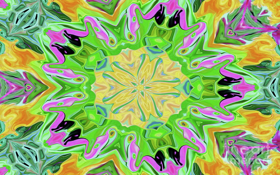 Kaleidoscope Colors Digital Art by D Hackett