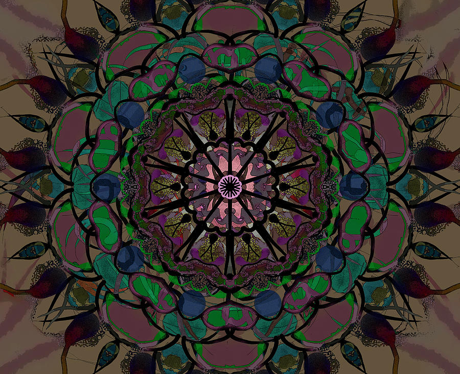 Kaleidoscope Digital Art by Elizabeth Waitinas