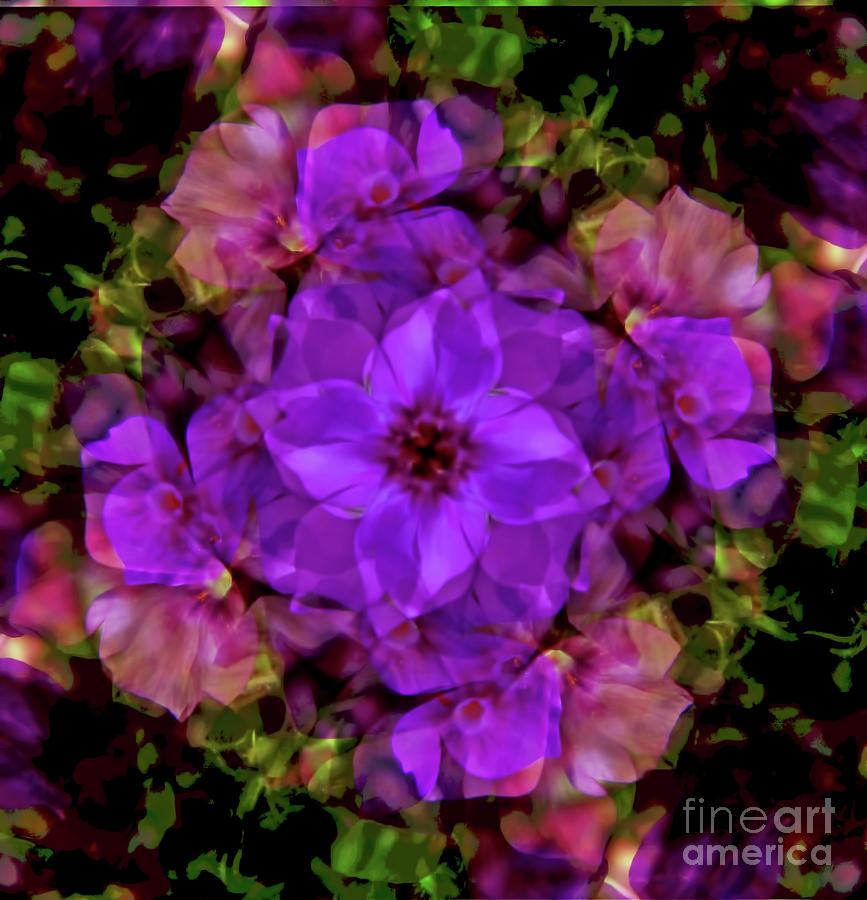 Kaleidoscope Flowers Digital Art by D Hackett