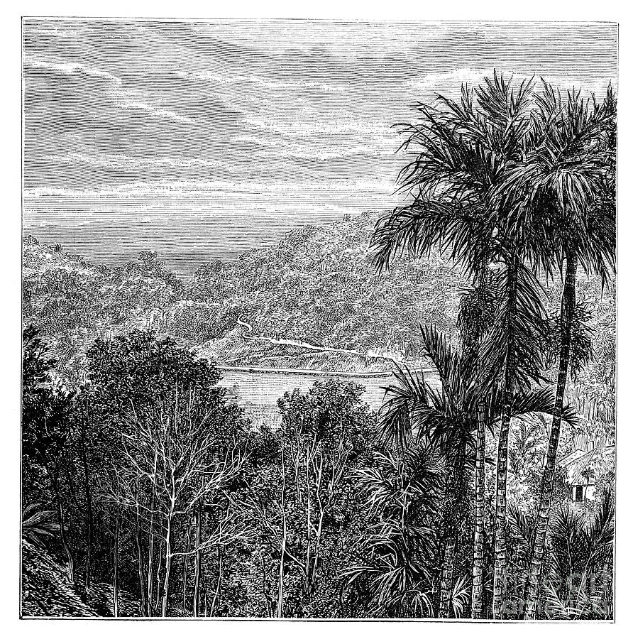 Kandy Maha Nuvara, Sri Lanka, 1895 Drawing by Print Collector