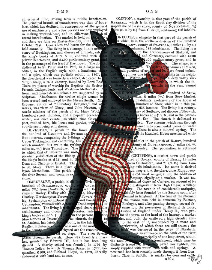 Toy Painting - Kangaroo Boxing Book Print by Fab Funky