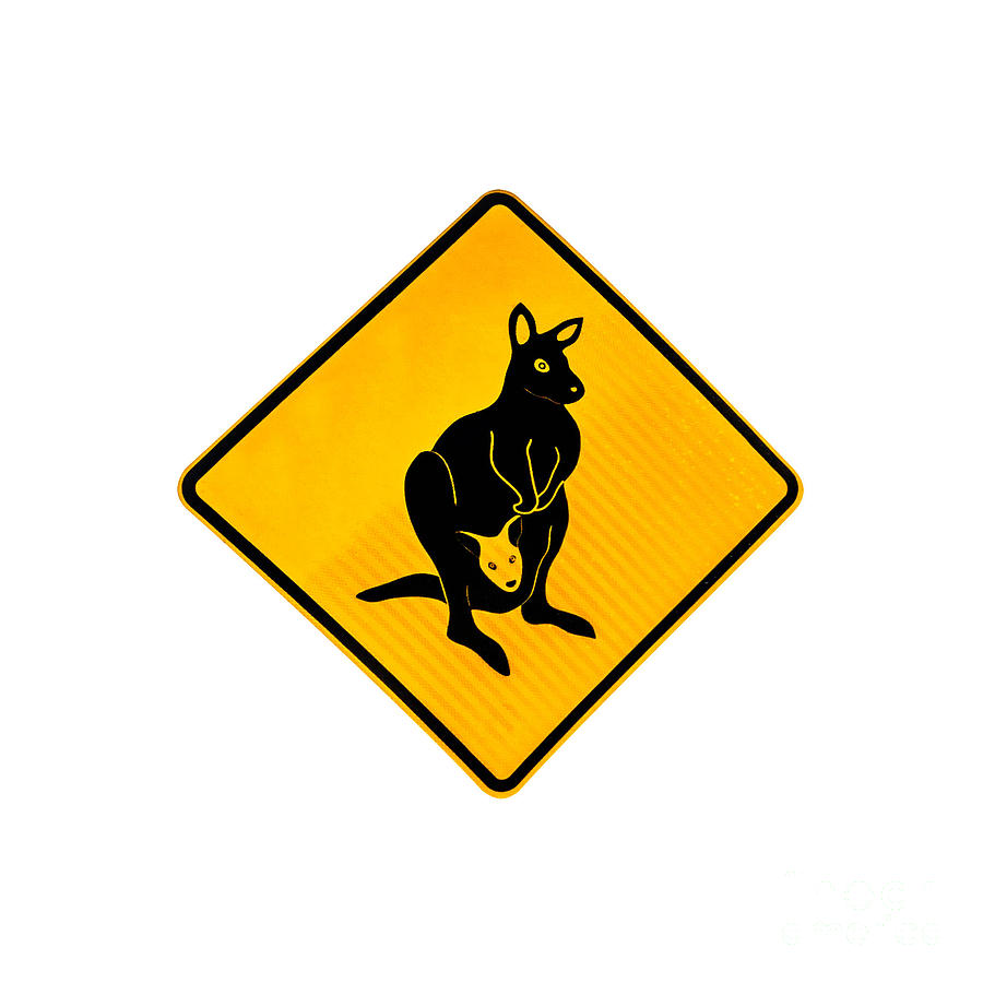 Kangaroo Warning Sign Photograph by Benny Marty