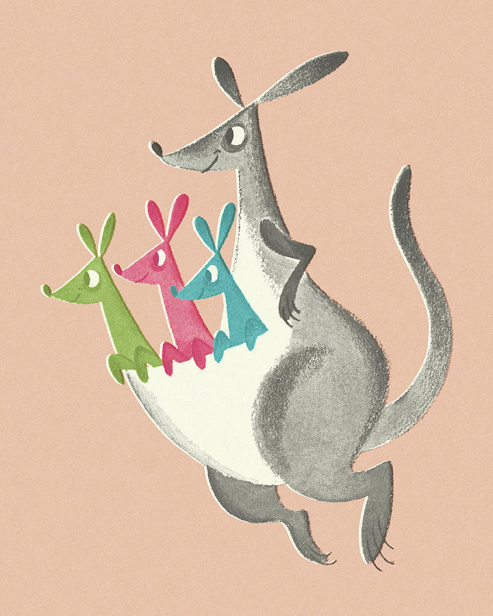 Vintage Drawing - Kangaroo with Three Joeys by CSA Images
