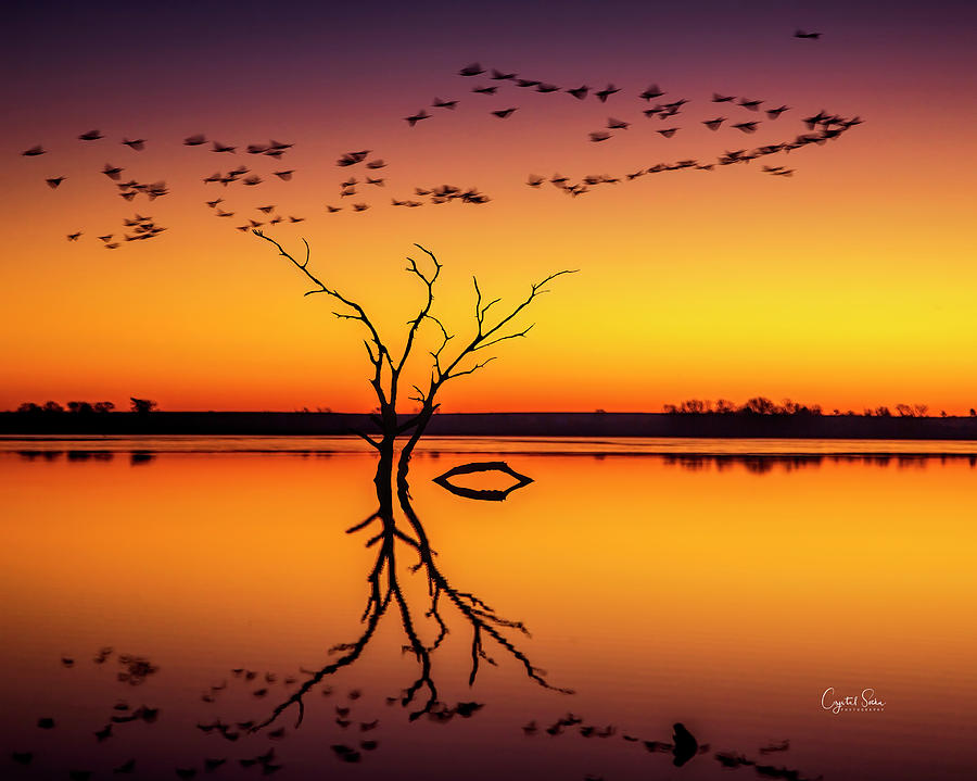 Kansas Sunrise Photograph by Crystal Socha