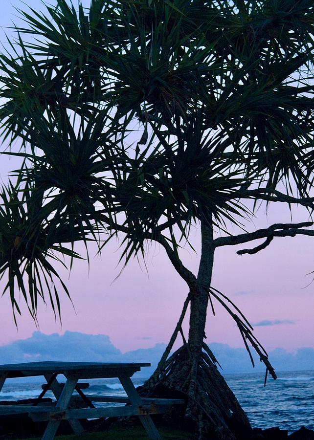 Kapoho Hala tree at Dawn Photograph by Lehua Pekelo-Stearns