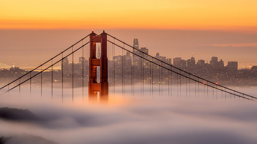 Golden Gate Bridge Photograph - Karl, The San Francisco Fog by Chengming