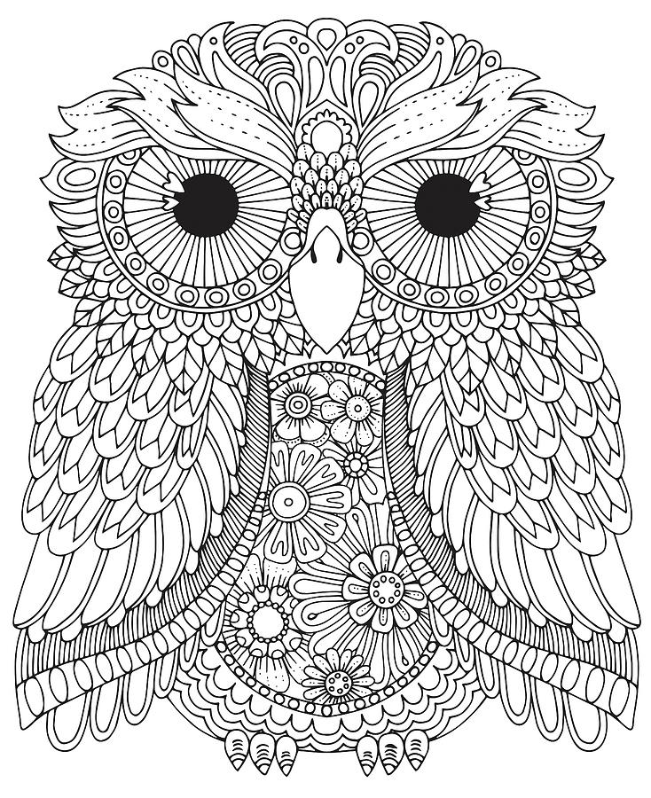 Karmin Owl Digital Art by Hello Angel | Fine Art America