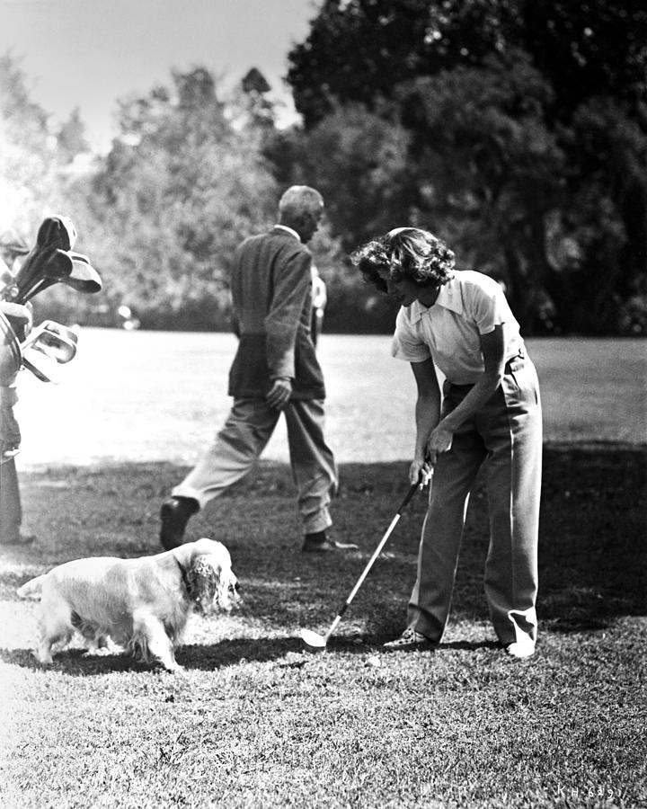 Katharine Hepburn Playing Golf With Pet Dog Photograph by Globe Photos ...