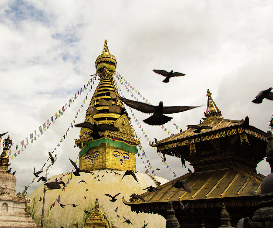 Kathmandu Monkey Temple Photograph by @ Didier Marti