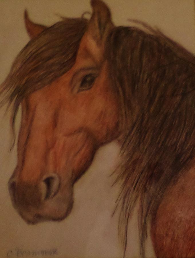 Kathys Horse Drawing by Christy Saunders Church