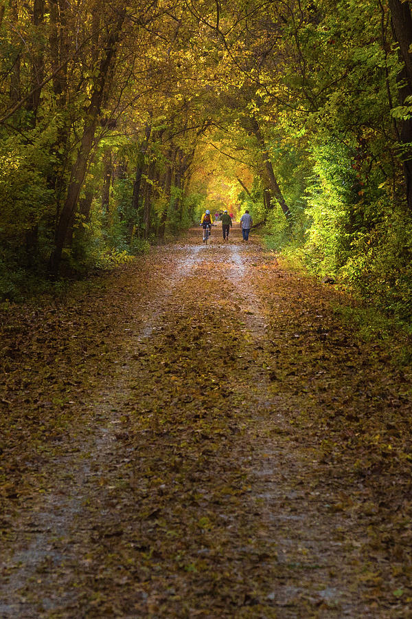 Katy Trail Fall Photograph by Joe Kopp
