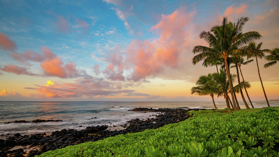 Kauai Photograph by Radek Hofman - Fine Art America