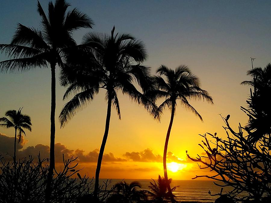 Kauai Sunrise Photograph by LaDonna McCray