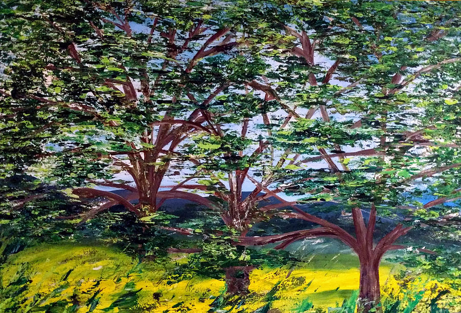 Kauai Trees by Raji Musinipally Kauai Trees by Raji Musinipally