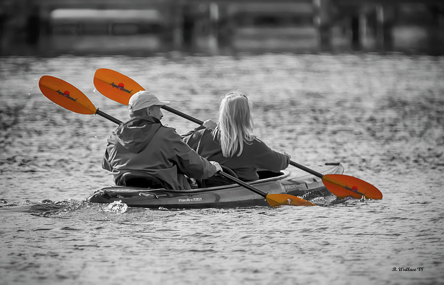 Kayaking Along The Magothy Photograph by Brian Wallace