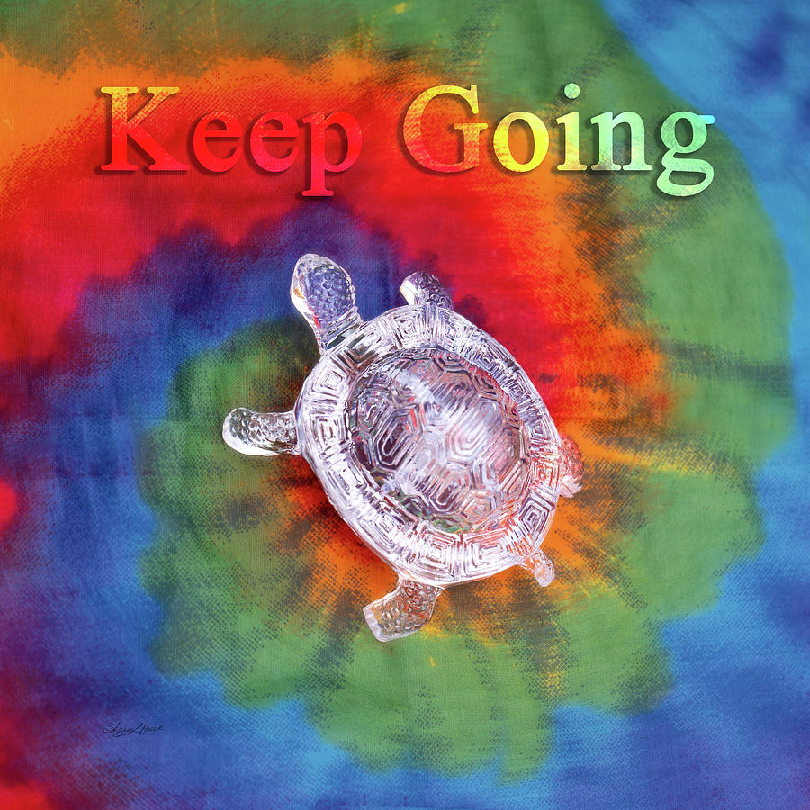 Keep Going Photograph by Sharon Popek