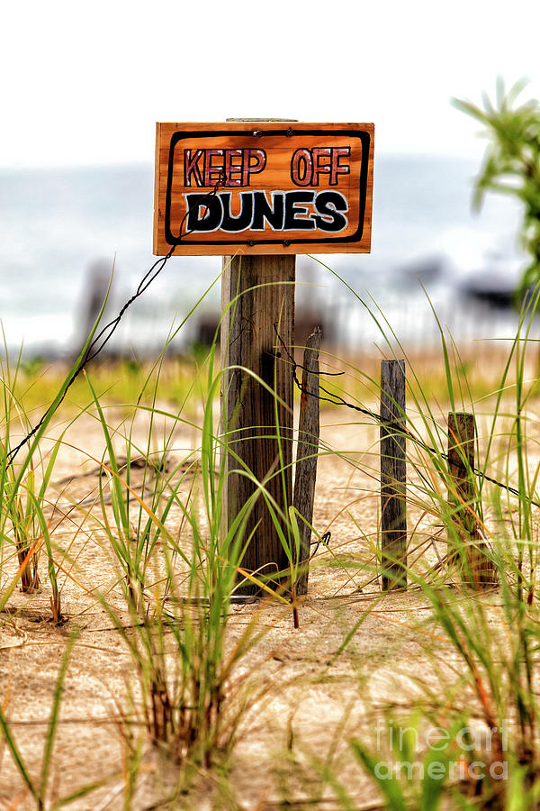 Keep Off Dunes at Ocean Grove New Jersey Photograph by John Rizzuto