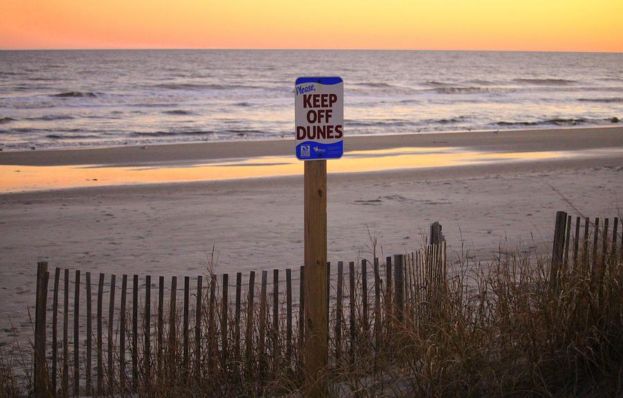 Keep Off Dunes Photograph by Cynthia Guinn