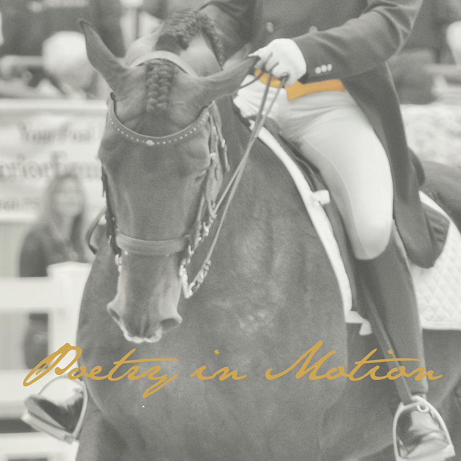 KEEP THE CONTACT quote Photograph by Dressage Design