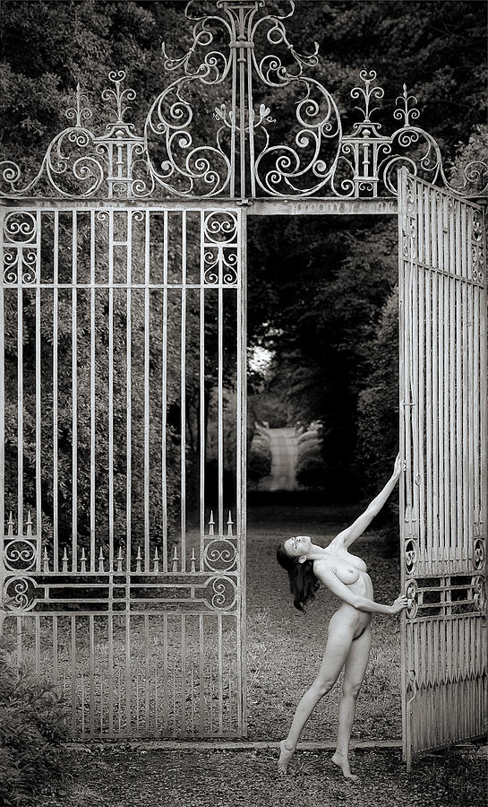 Fineart Photograph - Keeper Of The Gate by Howard Ashton-jones