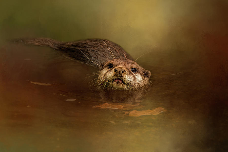 Keeping Your Head Above Water by Kelley Parker Keeping Your Head Above Water by Kelley Parker