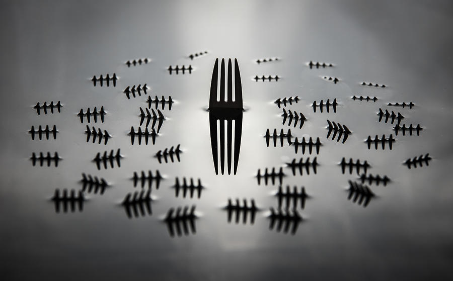 Fork Photograph - Keeping Your Head Above Water by Mike Melnotte