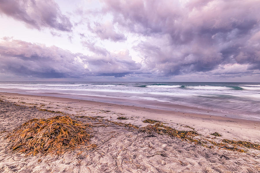 Kelp and Clouds Ponto Beach Photograph by Joseph S Giacalone