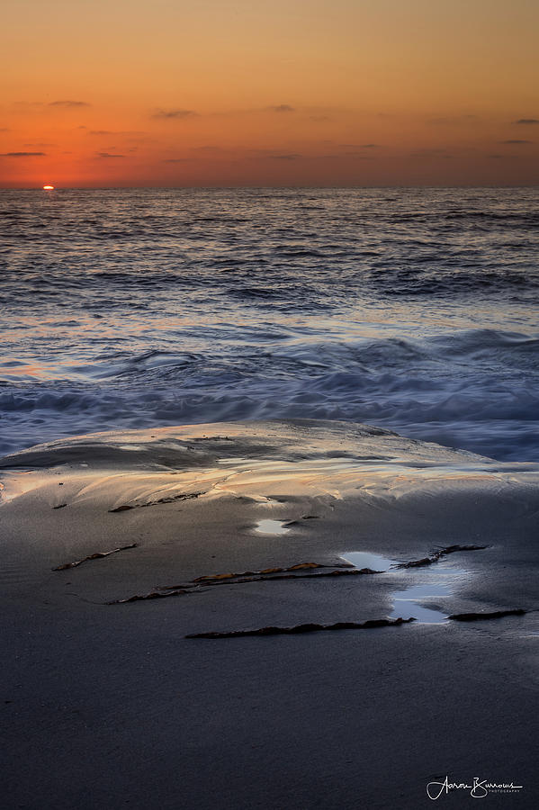 Kelp Pools Photograph by Aaron Burrows