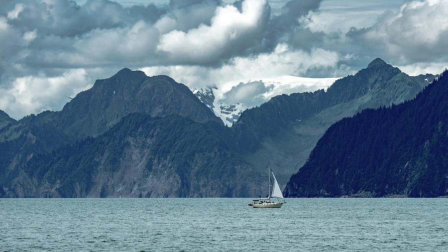 Kenai Fjords Photograph by Marcy Wielfaert