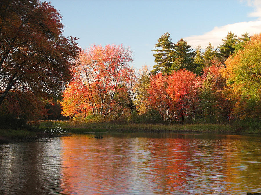 Kendall Pond in Fall - Maueen Rose Photograph by Maureen Rose - Fine ...