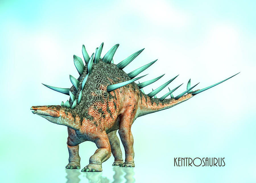 Kentrosaurus Digital Art by Bob Orsillo