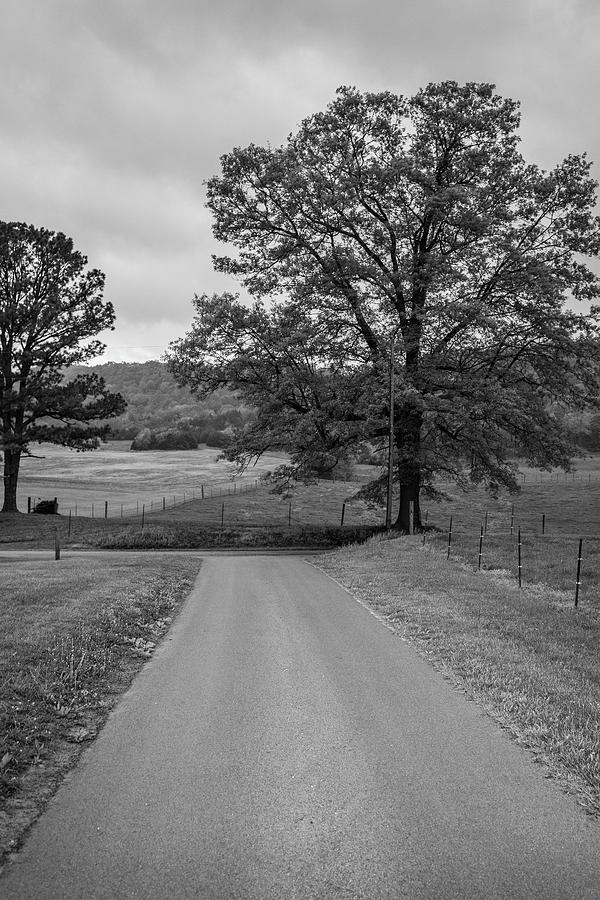Kentucky Backroad  Photograph by John McGraw