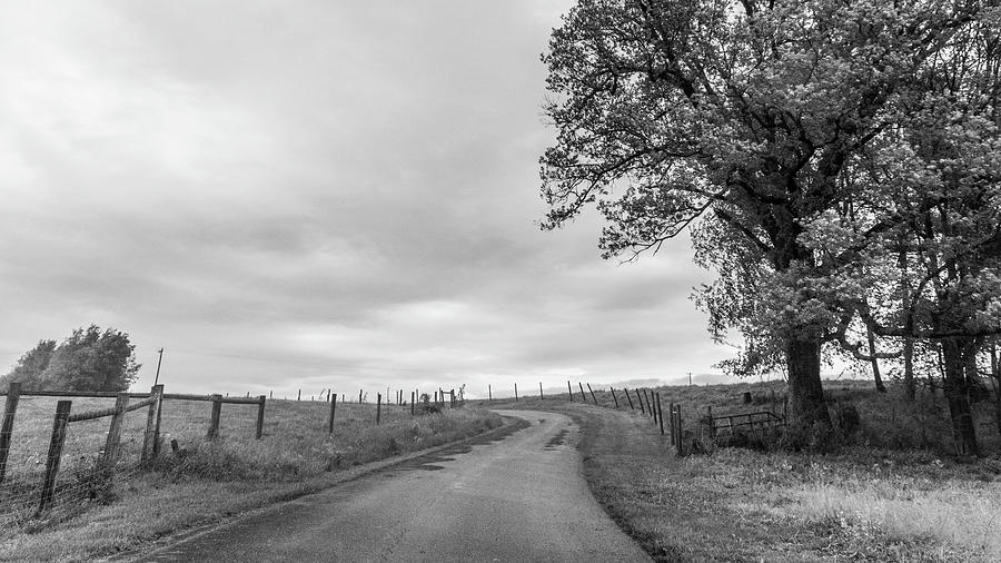 Kentucky Country Road  Photograph by John McGraw