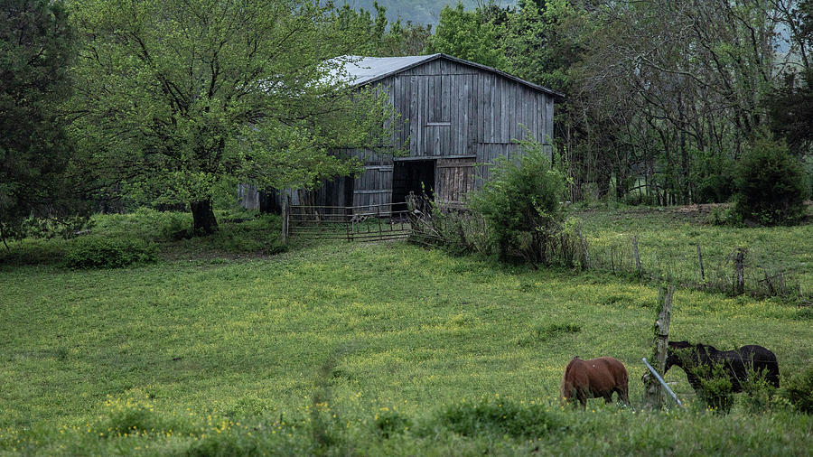 Kentucky Farm  Photograph by John McGraw