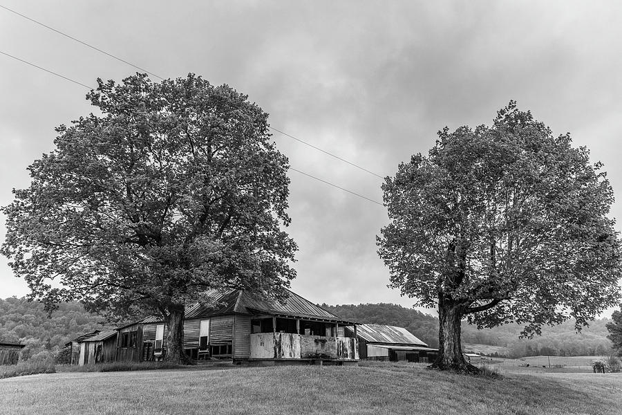 Kentucky Farm with Trees  Photograph by John McGraw
