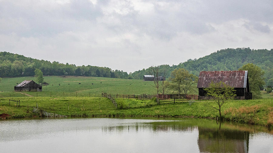 Kentucky Lake and Farm  Photograph by John McGraw