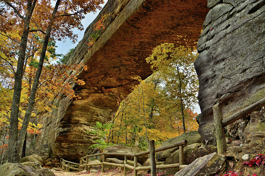 Kentucky Natural Bridge Photograph by Ben Prepelka