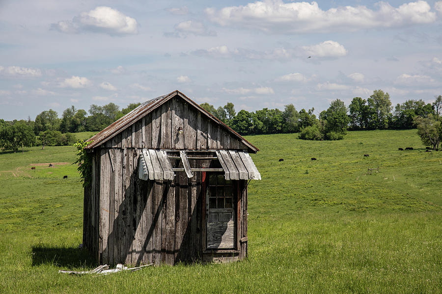 Kentucky Shack  Photograph by John McGraw