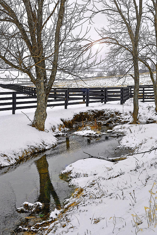 Kentucky Winter Photograph by Randall Dill