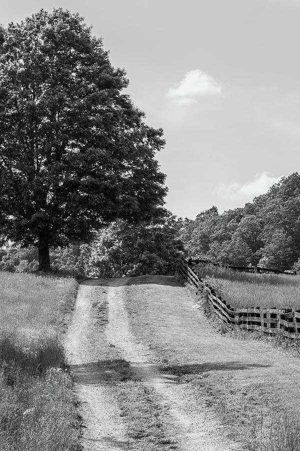 Kentucy Two Track  Photograph by John McGraw