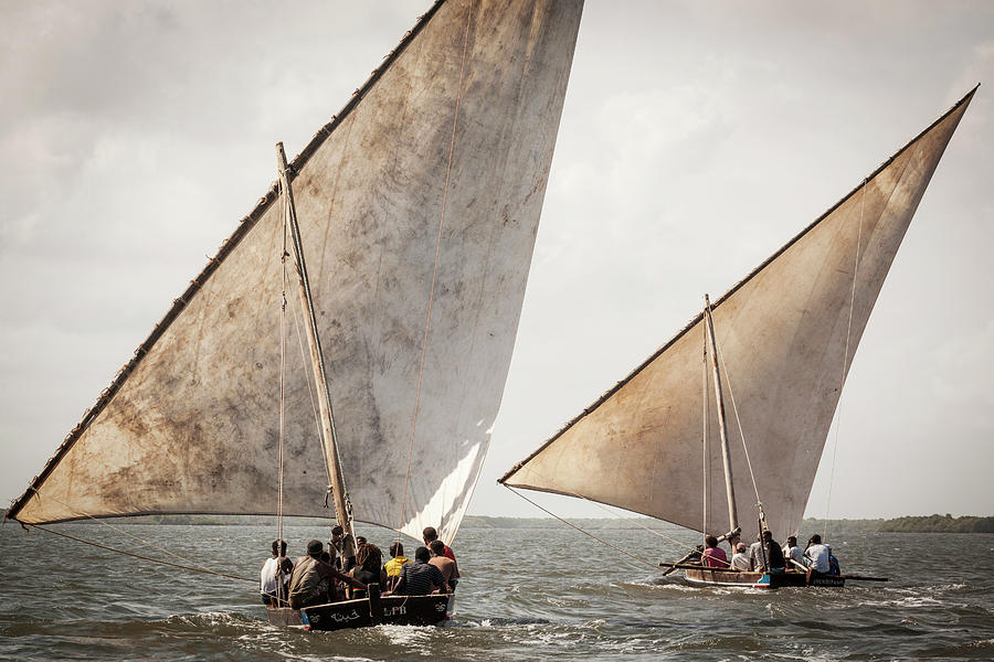 Kenya, Indian Ocean, Lamu, Dhow Race Digital Art by Tim Draper