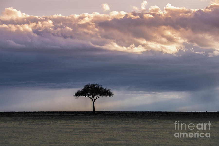 Sunset Photograph - Kenya Sunset by Sandra Bronstein
