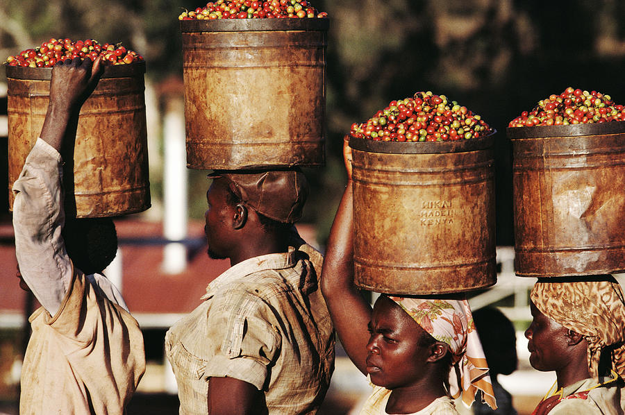 Kenya, Women Carrying Buckets Of Coffee Photograph by Christopher Pillitz